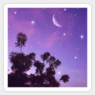 Starry Evening Sky Sticker